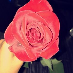 Meet your Posher, Jackie